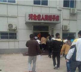 日本捐精图片,探索生育新途径的挑战与机遇