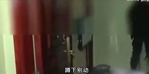 成人搞基视频,隐私与伦理的边界探讨