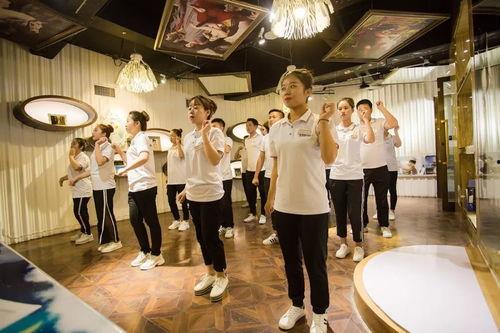团队风采展示视频,视频中的激情与智慧凝聚