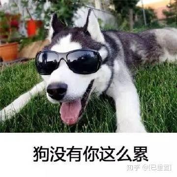 累成狗 图片,揭秘现代职场人的真实生活状态
