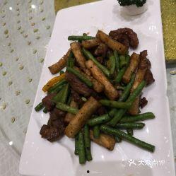 牛茄子图片,探寻神秘植物的独特魅力