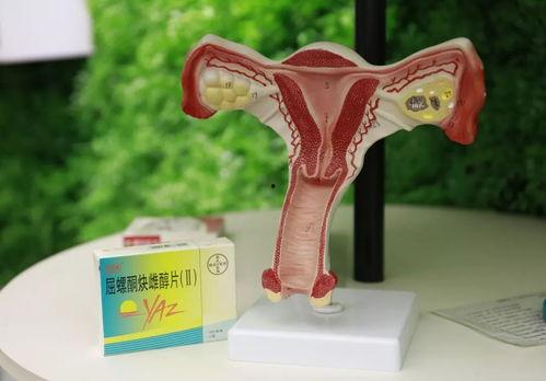宫喜环图片,穿越时空的美丽传奇