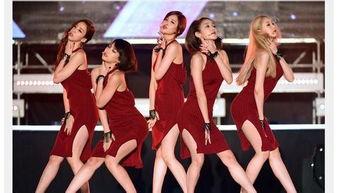 韩国女团的中国人,韩国女团中的中国成员风采