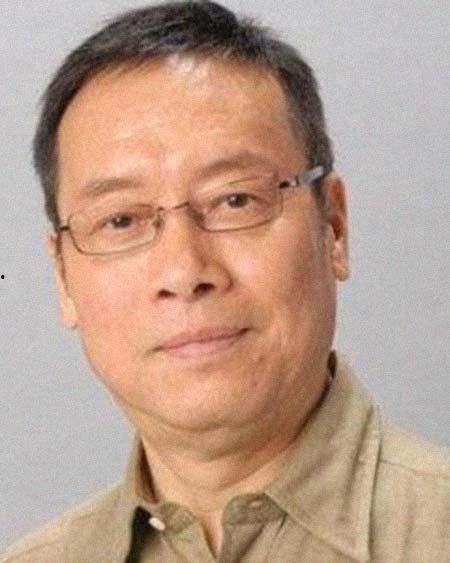 岳华国语,华语影坛的璀璨星辰