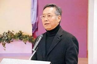 岳华国语,华语影坛的璀璨星辰