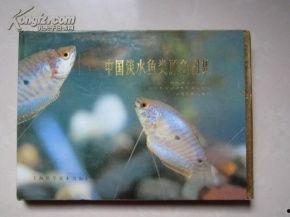 中国的淡水鱼图片大全,千姿百态的淡水鱼世界掠影