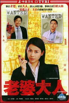 老婆大人1国语,爱情与权力的交织